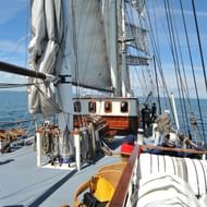 Deckansicht des Segelschiffs Mare Frisium mit weißen Segeln, Takelage, Steuerhaus und Passagieren. Blaues Meer und Himmel im Hintergrund.
