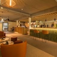 Modern hotel lobby with orange seating, reception desk, and bar area with green paneling and bar stools. Decorative pendant lights hang from ceiling.