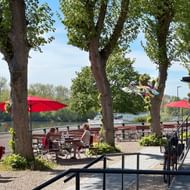Outdoor terrace with guests seated under red umbrellas and large trees, overlooking a marina with boats and a waterfront promenade.