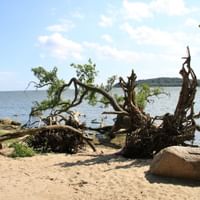 Strandabschnitt in Rügen