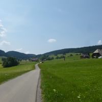 landscape-black-forest
