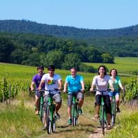 rhein-radtour-weinfeld-1