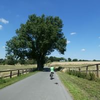 strecke-natur