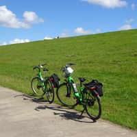 Weser-Radweg-Natur