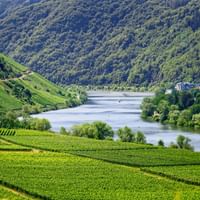 Mosel Panorama
