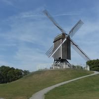 Traditionelle Holzwindmühle Sint-Janshuismolen mit vier Flügeln auf einem Grashügel, umgeben von Bäumen unter blauem Himmel mit weißen Wolken.