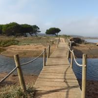 Jetty on the coast