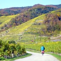 In der Wachau