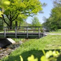 Emsland-Borken-Paradise