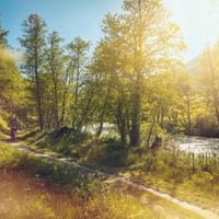 Cyclist on sunlit path along the Rhône river, surrounded by green trees. The path runs between the river and a hillside on a bright day.