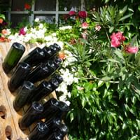 Weinproben an der Mosel
