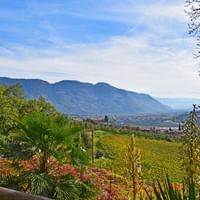 Landscape in South Tyrol