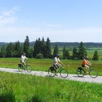 Muenchner-Radweg-Natur