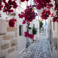 Idyllic alleys