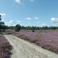 Schwindebecker Heath