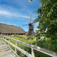 Wooden footbridge leading to Rieck Haus with thatched roof and traditional windmill. Cherry tree with fruit in foreground, blue sky above.