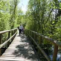 Radweg zwischen Klink und Waren