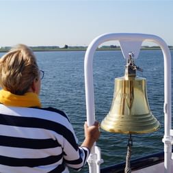 Velociped ship bell view over open water Person in striped shirt viewing open water from ship deck with brass bell labeled 'MAMMALIA' mounted on white railing.