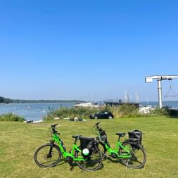 Two bright green bicycles with panniers parked on grass beside Schwielowsee lake with marina, boats and white crane in background.