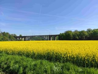 Stone viaduct with multiple arches spanning across a bright yellow rapeseed field, backed by green trees under a blue sky near Melsungen.