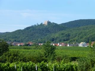 Das Hambacher Schloss thront auf einem bewaldeten Hügel über grünen Weinbergen und einem Dorf mit roten Dächern in der Pfalz.