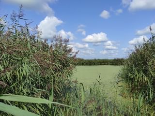 Giant fields Münsterland