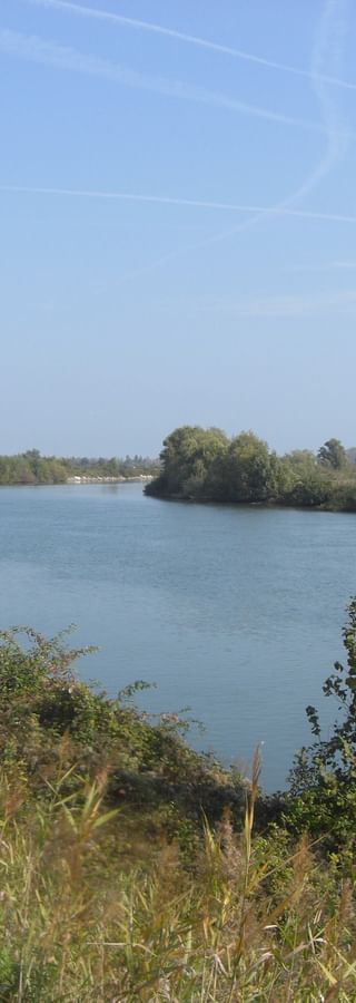 Scenic view of the Adige River with calm blue-green water, surrounded by lush vegetation and trees under a clear blue sky.