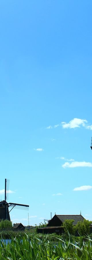 Row of traditional Dutch windmills at Kinderdijk along a waterway with green reeds under a blue sky with white clouds.