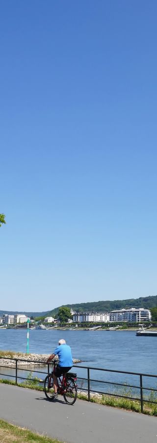 Cyclists on the Rhine promenade in Bad Godesberg with river view, green trees, and hills with buildings in the background under blue sky.