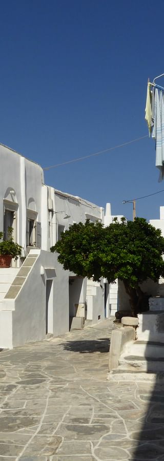 Traditional white-washed alleyway in Kastro village, Sifnos, with stone-paved streets, blue shutters, stairs, and a small tree under clear blue sky.