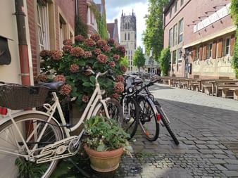 Kuhviertel Münster