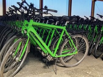 Row of bright green rental bicycles with black seats and handlebars parked in a covered bike storage area with concrete floor.