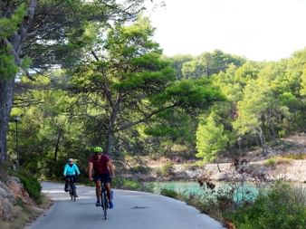 Two cyclists riding on a paved road through Mediterranean landscape in Stari Grad, with pine trees and turquoise water visible.