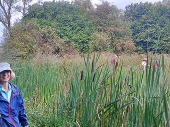 Woman named Elke wearing blue jacket and white hat standing in wetland with tall reeds and cattails. Trees and cloudy sky in background.