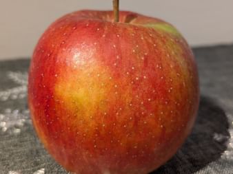 Close-up of a ripe red apple with yellow-orange tones and water droplets on its skin, placed on a gray patterned fabric.