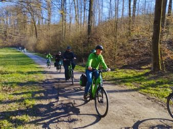 Radweg Wald