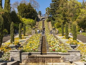 Blumen-Wassertreppe auf der Insel Mainau