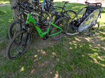Several bicycles including a green e-bike and a bike trailer parked against a tree on grass in dappled sunlight during Stadtradeln in Hessen.