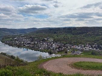 Panoramablick auf das Dorf Zeltingen an der Mosel von einem Weinberg aus. Sanfte Hügel und bewölkter Himmel rahmen die malerische Landschaft.