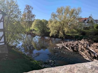 River view from bridge showing calm water, driftwood pile, green trees along banks, and residential buildings under blue sky.