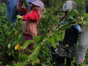 Group of volunteers working in overgrown vegetation in Burgwald. A child in pink cap and red jacket stands among adults clearing plants under cloudy sky.