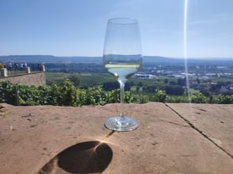 Glas Weißwein auf Holzoberfläche mit Panoramablick auf Weinberge, grüne Felder und entfernte Hügel unter blauem Himmel.