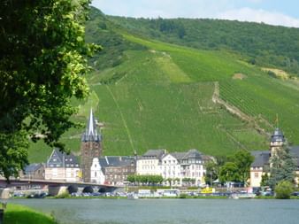 Mosel Bernkastel-Kues mit Blick auf die Weinberge