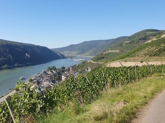 Ausblick auf Assmannshausen