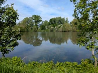 Calm lake in Hessen framed by green trees and foliage. The water reflects the blue sky and surrounding vegetation on a sunny day.