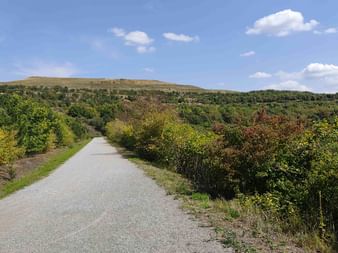 Asphaltierter Radweg durch grüne Büsche zu einer Halde im Ruhrgebiet. Blauer Himmel mit weißen Wolken über der Landschaft.