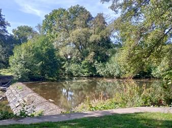 Stone weir across a calm river surrounded by dense green trees under a blue sky. A paved path runs along the riverbank in the foreground.