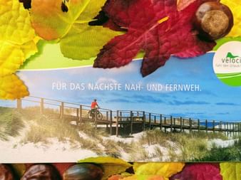 Gift voucher showing cyclist on wooden boardwalk by beach, surrounded by colorful autumn leaves and chestnuts with Velociped logo.