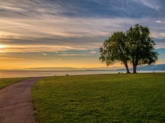 Stadtpark Arbon