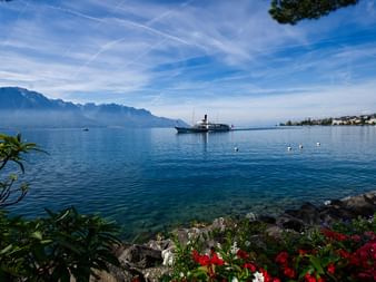 Paddle steamer sailing on Lake Geneva with mountains in background. Colorful flowers frame the view from shore, swans swim in clear blue water.